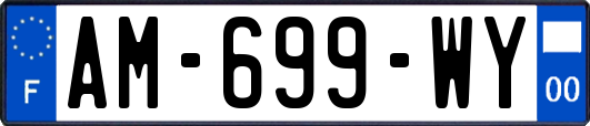 AM-699-WY
