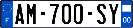 AM-700-SY