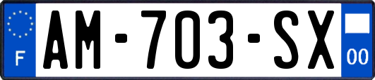 AM-703-SX