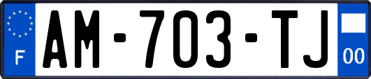 AM-703-TJ