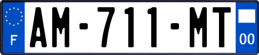 AM-711-MT