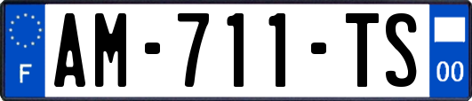 AM-711-TS