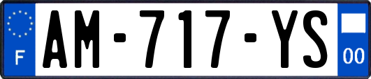 AM-717-YS
