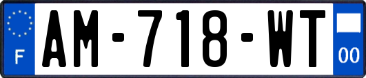 AM-718-WT