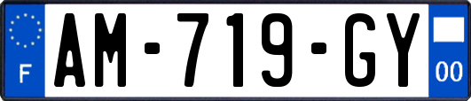 AM-719-GY