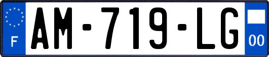 AM-719-LG