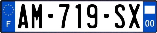 AM-719-SX