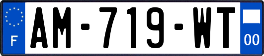 AM-719-WT