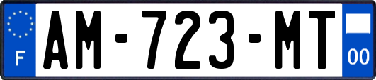 AM-723-MT