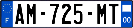 AM-725-MT