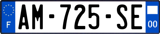 AM-725-SE