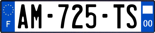 AM-725-TS
