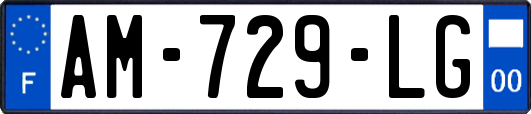 AM-729-LG