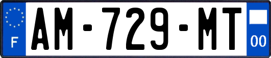 AM-729-MT