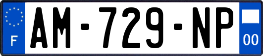 AM-729-NP