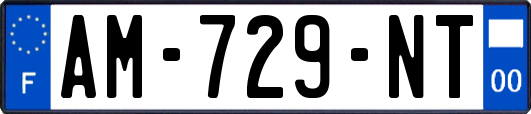 AM-729-NT