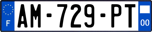 AM-729-PT