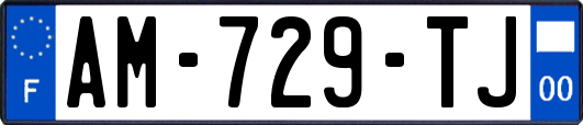 AM-729-TJ