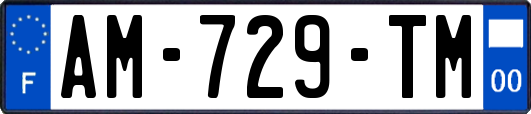 AM-729-TM