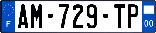 AM-729-TP