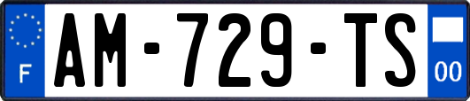 AM-729-TS