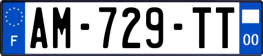 AM-729-TT
