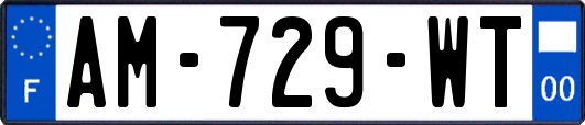 AM-729-WT