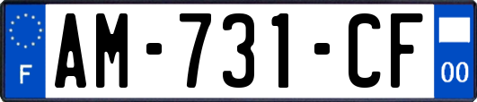 AM-731-CF