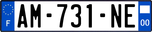 AM-731-NE