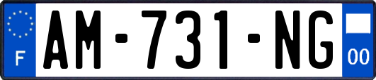 AM-731-NG