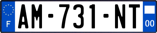 AM-731-NT