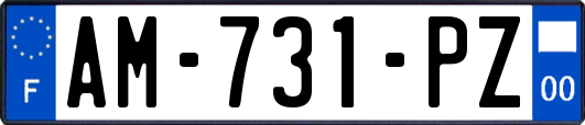 AM-731-PZ
