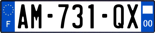 AM-731-QX