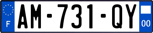 AM-731-QY