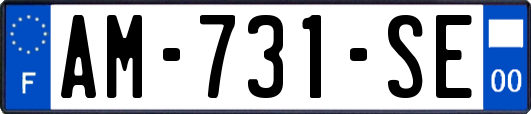 AM-731-SE