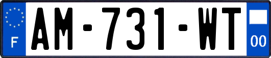 AM-731-WT