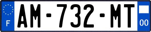 AM-732-MT