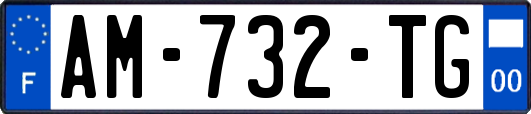 AM-732-TG