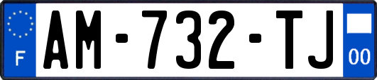 AM-732-TJ
