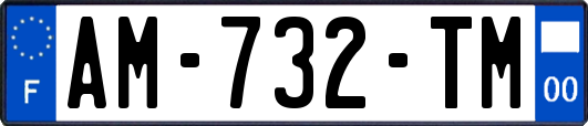 AM-732-TM