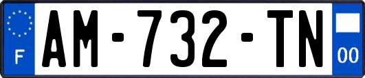 AM-732-TN