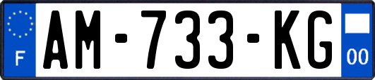AM-733-KG