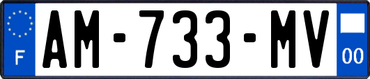 AM-733-MV