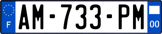 AM-733-PM