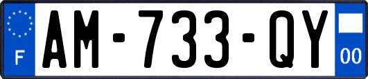 AM-733-QY