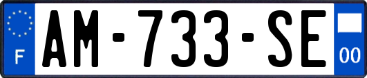 AM-733-SE