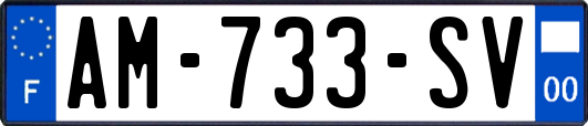 AM-733-SV
