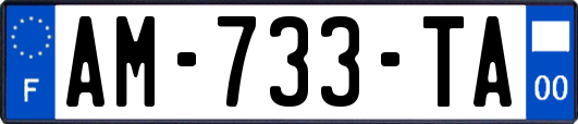 AM-733-TA