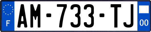 AM-733-TJ