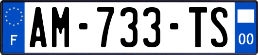 AM-733-TS